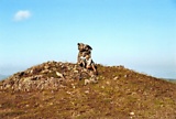 f254.jpg
