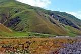 f258.jpg