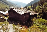 f269.jpg