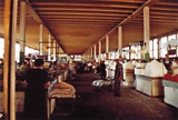 f310.jpg