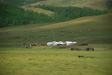 dsc_1837.jpg