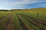 dsc_1857.jpg