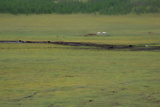 dsc_1876.jpg