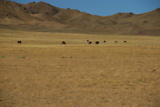 dsc_1983.jpg