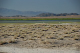 dsc_2029.jpg