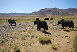 dsc_2101.jpg