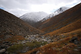 dsc_2223.jpg