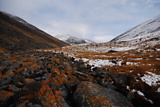 dsc_2228.jpg