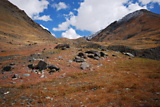 dsc_2254.jpg