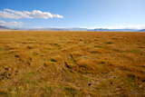 dsc_2283.jpg