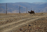 dsc_2405.jpg
