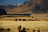 dsc_2425.jpg