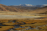 dsc_2487.jpg