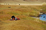 dsc_2514.jpg