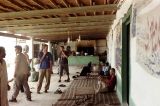 img003.jpg