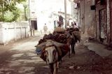 img022.jpg