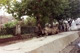 img024.jpg