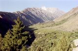 img044.jpg