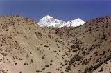 img048.jpg