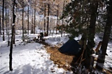 dsc_2823.jpg