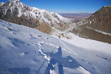 dsc_2856.jpg