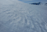 dsc_2879.jpg