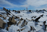 dsc_2896.jpg