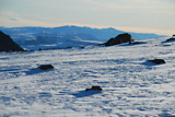 dsc_2965.jpg