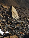 dsc_2971.jpg