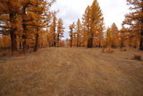 dsc_2997.jpg