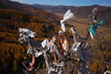 dsc_3105.jpg