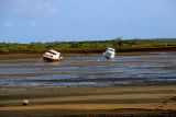 dsc_4685.jpg