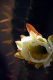 dsc_5317.jpg