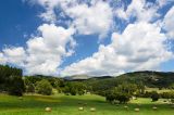 201308121421-AJS_6060.jpg