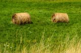 201308121422-AJS_6062.jpg