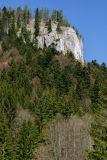 planina není vždycky jen placka