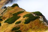 09301334_AJS_2743.jpg
