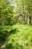 201405011123-AJ011807.jpg