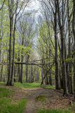 201405011244-AJ011816.jpg