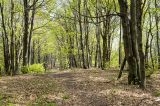 201405011252-AJ011818.jpg