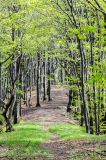 201405011355-AJS_2831.jpg
