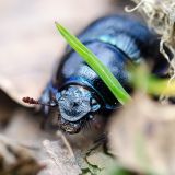 201405011525-AJS_2848.jpg