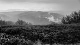 201405031212-AJ011882_3_4.jpg