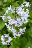 201405040952-AJ011983.jpg