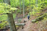201405041012-AJ011993.jpg