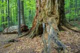 201405041019-AJ012001.jpg
