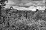 201405041135-AJ012016_7_8hdr-Edit.jpg